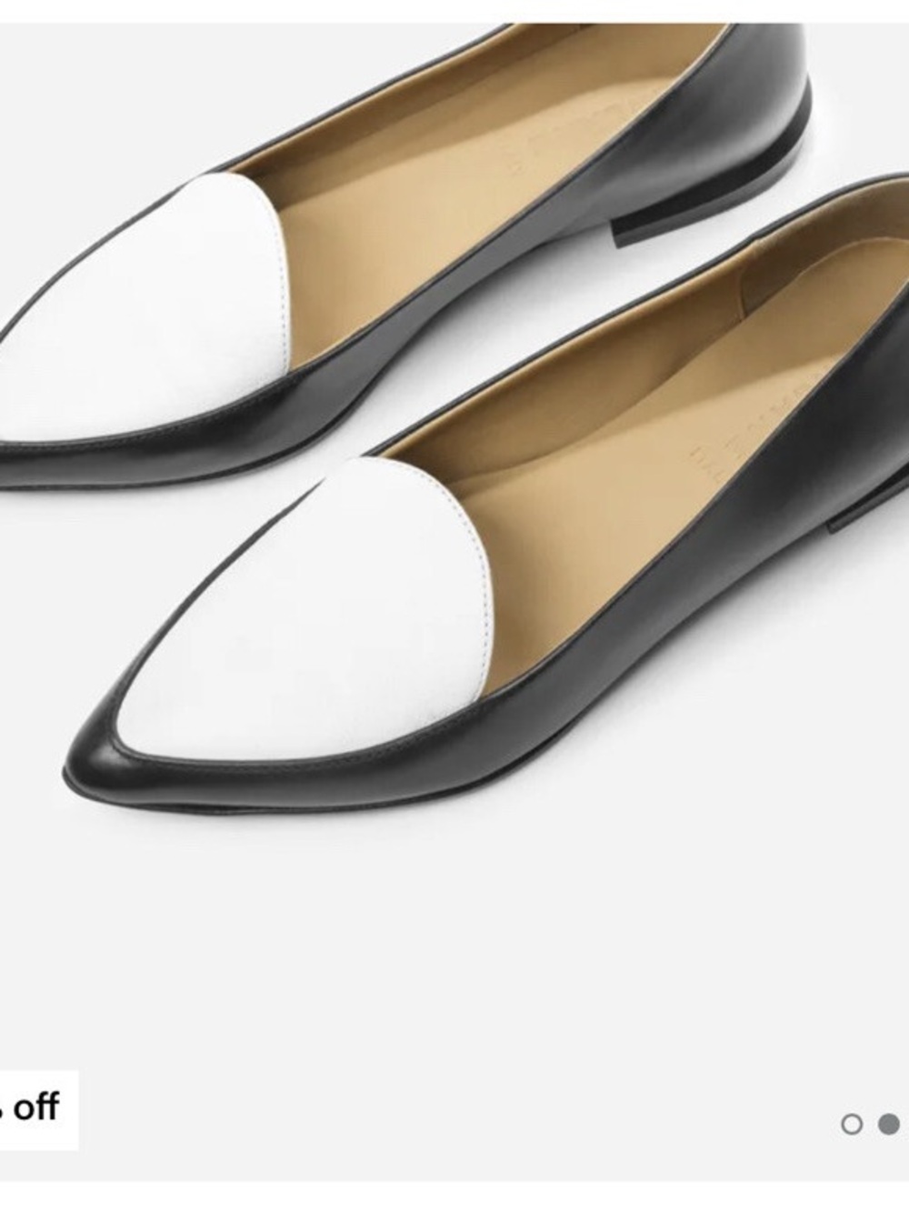 Everlane The Modern Point Two-Tone Pointed Leather Flats in Black and White